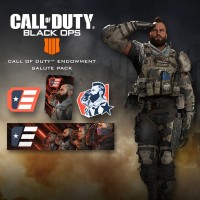 Call of Duty: Black Ops IIII - C.O.D.E. Salute Pack