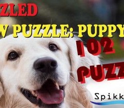 Bepuzzled Jigsaw Puzzle: Puppy Dogs