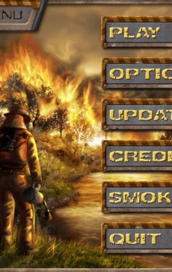Wildfire