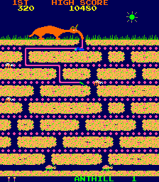 Anteater