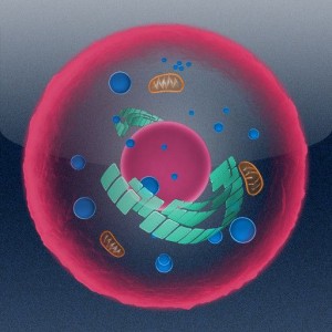 The 7th Guest: Infection