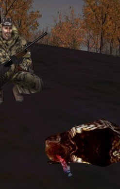 Bird Hunter: Wild Wings Edition