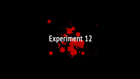 Experiment 12