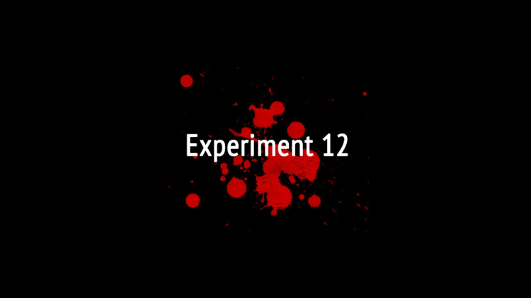 Experiment 12