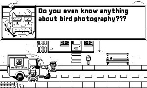 Casual Birder