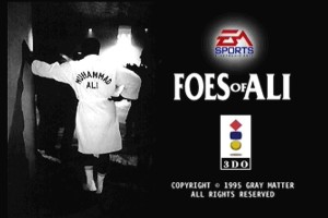 Foes of Ali