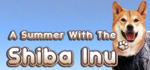A Summer with the Shiba Inu