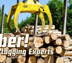 Timber!: The Logging Experts