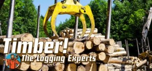Timber!: The Logging Experts