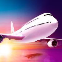 Take Off: The Flight Simulator
