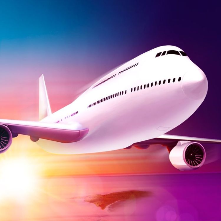 Take Off: The Flight Simulator