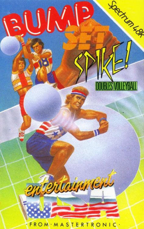Bump, Set, Spike! Doubles Volleyball