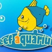 Reef Aquarium