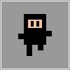 Nano Ninja