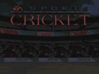 Cricket 96