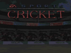 Cricket 96