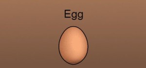 Egg