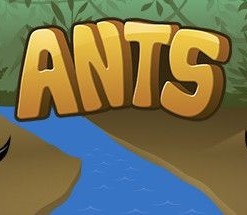 Ants