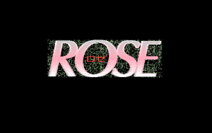 Rose