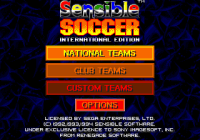 Championship Soccer '94