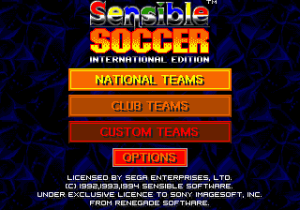 Championship Soccer '94