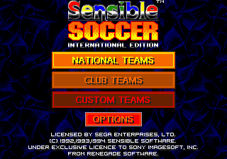 Championship Soccer '94