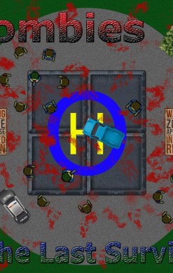 Zombies: The Last Survivor
