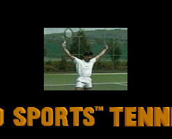4D Sports Tennis