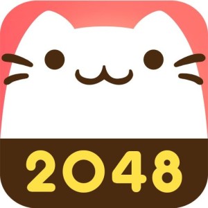 Cat 2048