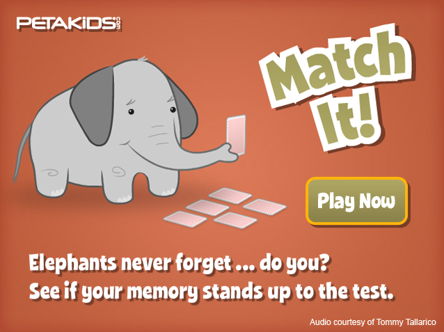 'Elephants Never Forget!' Memory Game