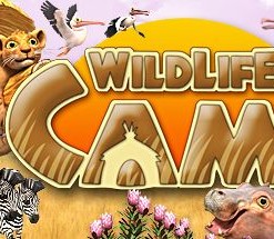 Wildlife Camp