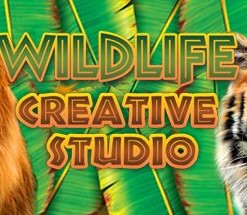 Wildlife Creative Studio