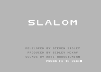 Slalom!