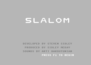 Slalom!