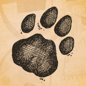 Delhaize: Animal Parc