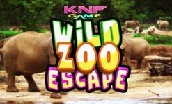 Wild Zoo Escape