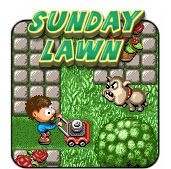Sunday Lawn