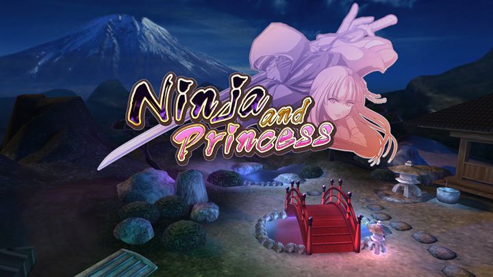 Ninja and Princess
