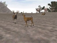Buckmasters Deer Hunting