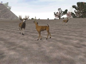 Buckmasters Deer Hunting