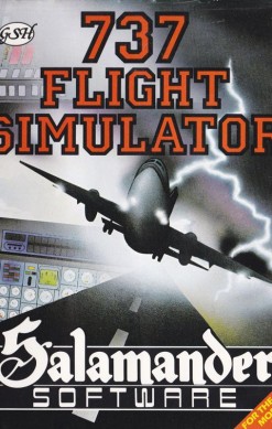 737 Flight Simulator