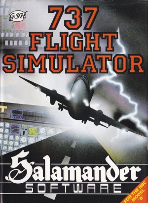 737 Flight Simulator