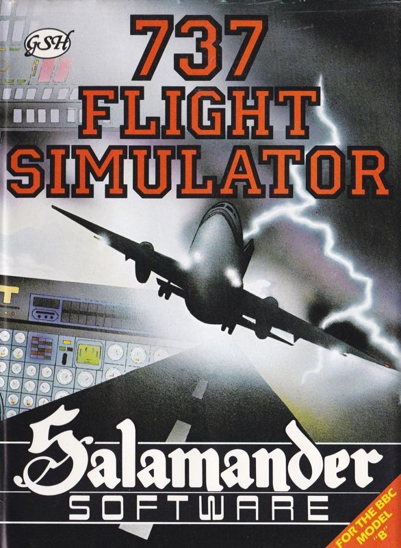 737 Flight Simulator