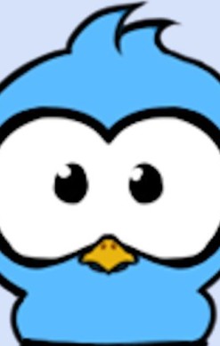 Birds'n'Blocks