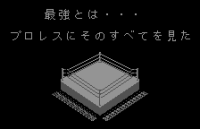 Fire Pro Wrestling