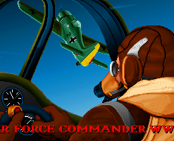 WW2 Air Force Commander
