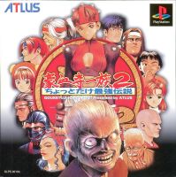 Power Instinct 2