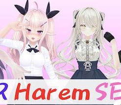 VR Harem Sex