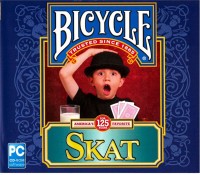 Bicycle Skat