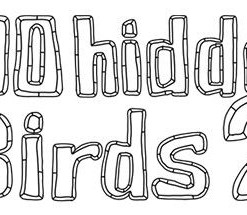100 Hidden Birds 2